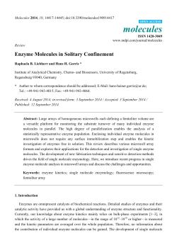 Enzyme Molecules in Solitary Confinement