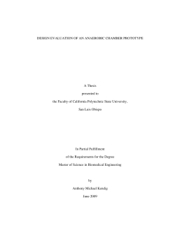 DESIGN EVALUATION OF AN ANAEROBIC CHAMBER PROTOTYPE