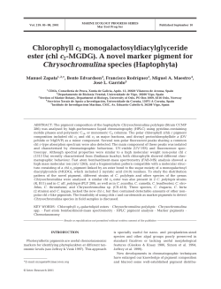Chlorophyll c2 monogalactosyldiacylglyceride ester (chl c2