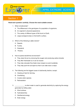 Extreme Science Worksheet
