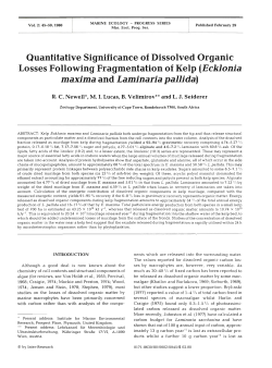 maxima and Laminaria pallida