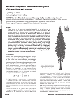 Fabrication of Synthetic Trees for the Investigation of Water at