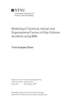 Modelling of Technical, Human and Organisational Factors of Ship