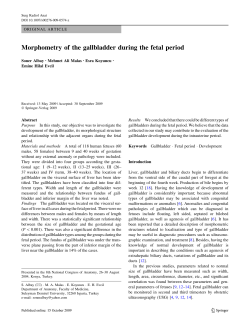 Morphometry of the gallbladder during the fetal period