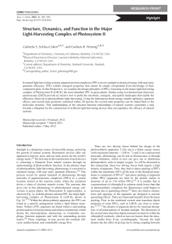 Structure, Dynamics, and Function in the Major Light