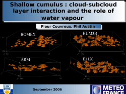 Shallow Cumulus properties: a closer look at individual clouds