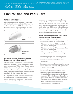 Circumcision and penis care
