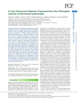 A Cyan Fluorescent Reporter Expressed from the