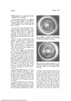 Perfluoropentane in Experimental Ocular Surgery