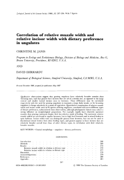 Correlation of relative muzzle width and relative incisor width with
