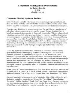 Companion Planting and Flower Borders