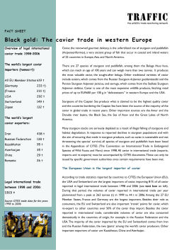 The caviar trade in western Europe