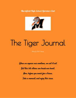Debut Issue - March 2017 - School District of Marshfield