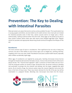 Prevention the Key to Dealing with Intestinal Parasites