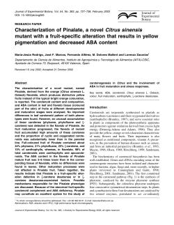 Characterization of Pinalate, a novel Citrus sinensis mutant with a