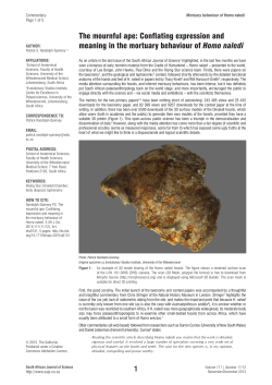 The mournful ape: Conflating expression and meaning in the