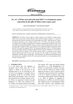 Na+, K+-ATPase (&alpha;1a and &alpha;1b) and NKCC co