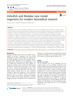 Zebrafish and Medaka: new model organisms for