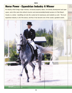 Horse Power - Equestrian Industry A Winner