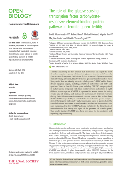 The role of the glucose-sensing transcription factor carbohydrate