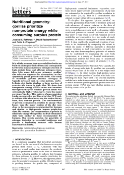 gorillas prioritize non-protein energy while consuming surplus protein