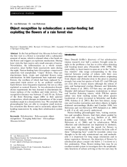 Object recognition by echolocation: a nectar