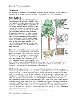 Lab 3 Transpiration