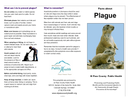 Plague - El Paso County Public Health