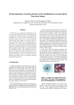 On the importance of nucleus features in the classification of cervical