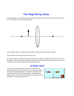 The Magnifying Glass A fishy lens