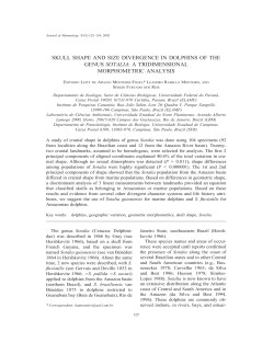 SKULL SHAPE AND SIZE DIVERGENCE IN DOLPHINS OF THE