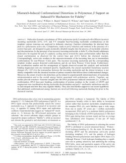 Mismatch-Induced Conformational Distortions in Polymerase &beta;