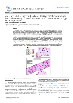 Peer-reviewed Article PDF