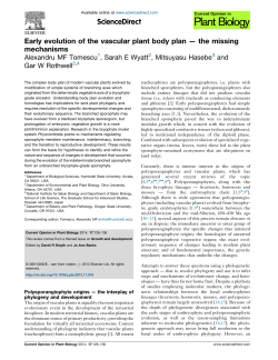 Early evolution of the vascular plant body plan &mdash; the missing
