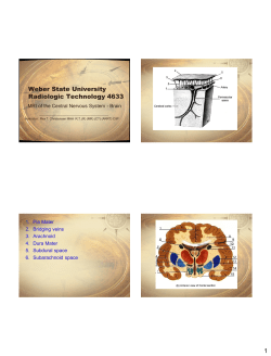 RT4633_brain Lecture 1