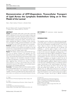Demonstration of ATP-Dependent, Transcellular Transport of Lipid