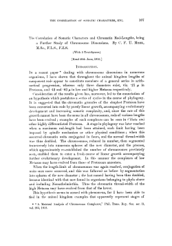 The Correlation of Somatic Characters and Chromatin RodLengths