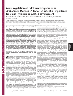 Auxin regulation of cytokinin biosynthesis in Arabidopsis thaliana: A