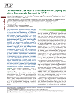 A Functional EXXEK Motif is Essential for Proton Coupling and