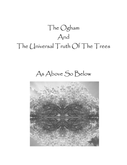 The Ogham And The Universal Truth Of The Trees