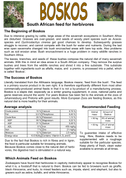 South African feed for herbivores The Beginning of Boskos
