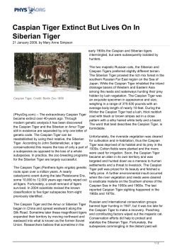 Caspian Tiger Extinct But Lives On In Siberian Tiger