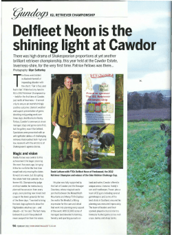 Delfleet Neon is the shining light at Cawdor