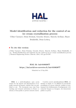 Model identification and reduction for the control of an ice cream