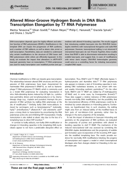 Altered MinorGroove Hydrogen Bonds in DNA Block Transcription