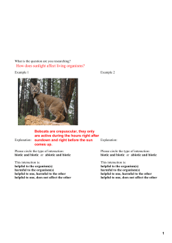 How does sunlight affect living organisms?