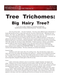 WSFNR-16-40 Coder - Warnell School of Forestry and Natural