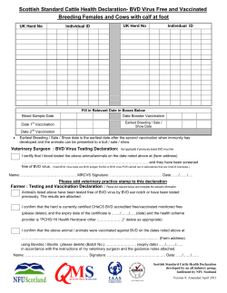 Cattle Health Declaration- BVD Virus Free and Vaccinated