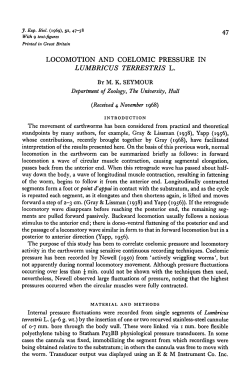 locomotion and coelomic pressure in lumbricus terrestris l.