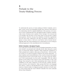1 Prelude to the Treaty-Making Process